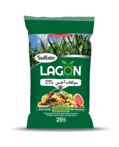 سولفات آهن (Fe: 21%)