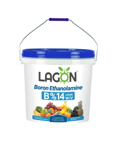 کلات بر(اتانول آمینه)