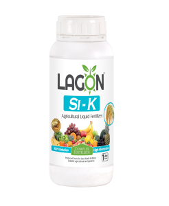 سيليكات پتاسيم