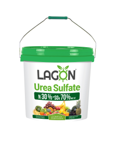 اوره سولفات سطلی