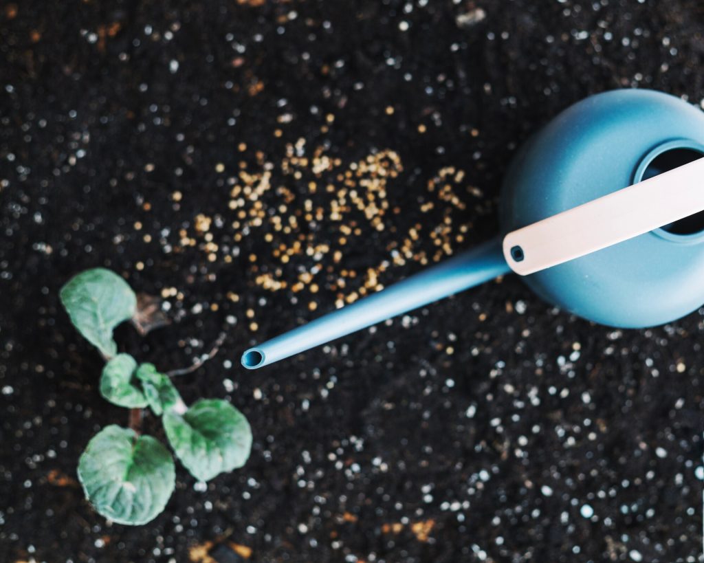 فسفر کود استارتر