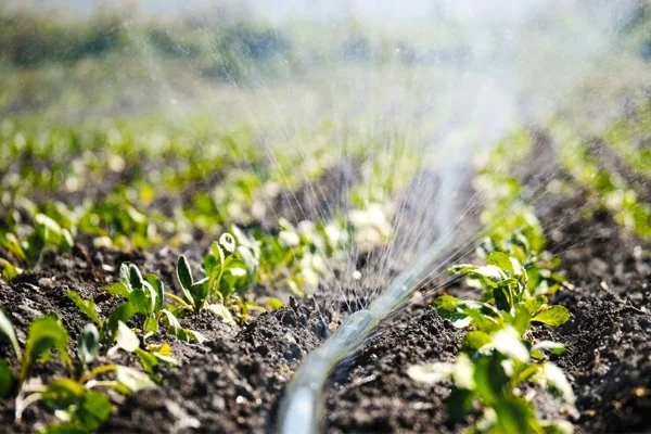 روش کودآبیاری چیست