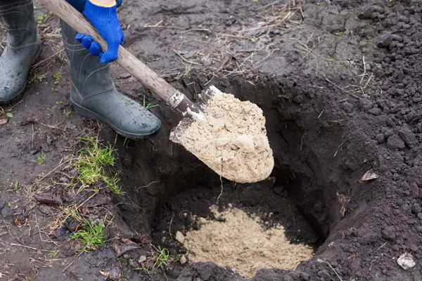 چالکود چیست